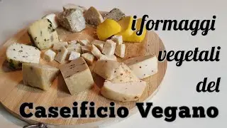 Un formaggio può essere vegetale? Sì, lo racconta Barbara Ferrante della startup CASEIFICIO VEGANO