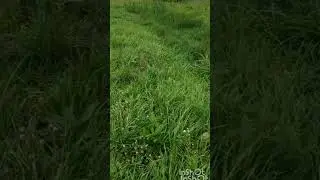 иртэлэр хэерле,коннэр имин булсын!🌄🤗💞🤗