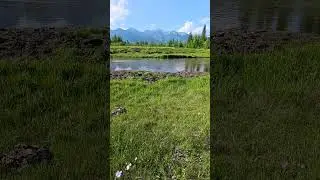 п. Хойтогол, подножие Восточных Саян, Тункинская долина, Бурятия #shorts