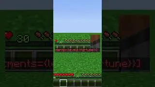How To Get Fortune 1000 in Minecraft 1.21 💎 