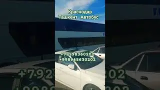 Краснодар Ташкент Автобус #автобус #тошкент #ростов #анапа #новороссийск #крим #геленджик #автобус