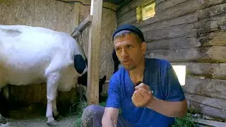 Деревенские НОВОСТИ прошедшей недели!  Жизнь в деревне