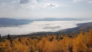 На вершине осени 2020 и 2021