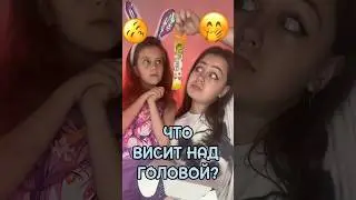 Что висит над ГОЛОВОЙ? 😸