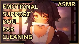 Emotional Support Dog Girl Comforts You | ASMR | [ear cleaning] [hair brushing] [assorted triggers]