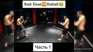 🤣Пародия на бой ХАБИБ🐓 и Тони🦌