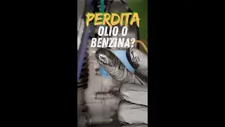 PERDITA   È OLIO O BENZINA