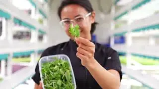What's In The Bag? Mu Mu Muesli and Frighteningly Fresh Greens