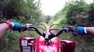 2019 Yamaha Raptor 700R SE - Capitol Forest