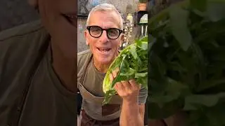 Come fare le puntarelle alla romana? 