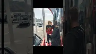 #дипинс
