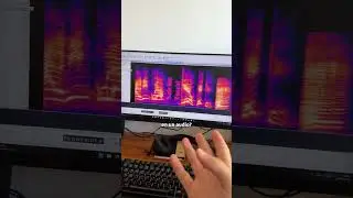 Hidden Message in an Audio