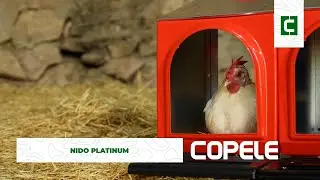 Nidos Platinum - Promo | Copele