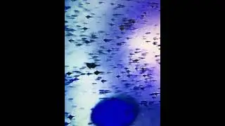 🌹💎WE ASK YOU TO CONNECT WITH US AND THE LET THE MAGIC BEGIN💎🌹💙NOVA MAXX⭐Divine Message🤍