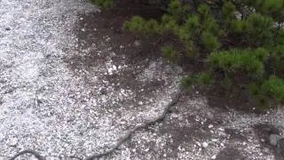 10 Вулкан Менделеева,  Кунашир