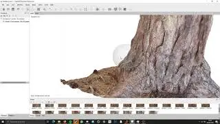 Photoscan tree MetaShape test