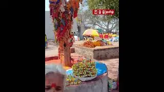 மேல்மலையனுர் மாசிமாதம் வரும் தேர்த்திருவிழா