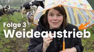 Biohof Paulsen Episode 3 - First Day Out to Pasture