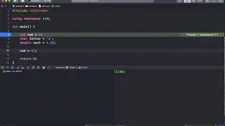 05. Primitive Variables