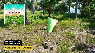 786 sqm Palawan Beach lot for sale - Palm Shore Gold LOT 16