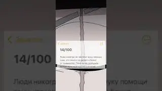 14/100 цитата