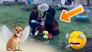 Nunca pense tener que darle esta triste noticia a mi tía Chull Huev0