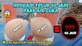 Eksperimen simpel telur dan cuka!!! - eksperimen sederhana🔥