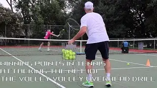 Attacking the Net and Winning Points in Tennis