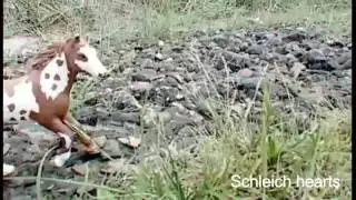 Hurricane - Full MEP - Schleichpferde