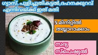 തേങ്ങയില്ലാതെ എളുപ്പത്തിൽ ഒരു ഇഞ്ചിപച്ചടി|Inji Pachadi Without Coconut|Inji Thayir|Inji Pachadi