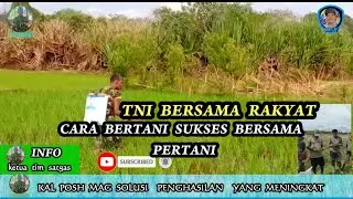 CARA PENGUNAAN PUPUK YANG BENER BERGINI CARANYA