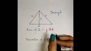 Perimeter and Area of Triangle |class10th| Maths