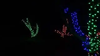 Sunset Christmas Lights