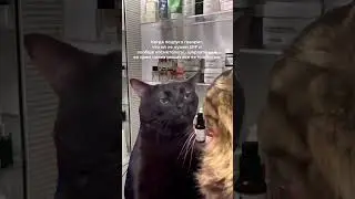 Ну мы, мы же?