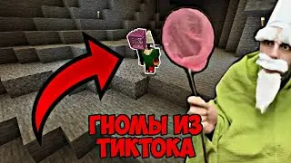 Я Добавил ГНОМОВ Из Тиктока В Майнкрафт ПЕ!|1.21
