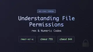 Understanding File Permissions | rwx & chmod | Mac/Linux Terminal
