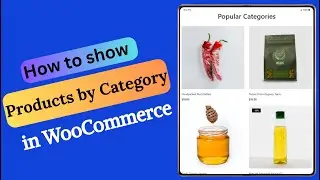 How to Show Products by Category in WooCommerce (2 Easy Methods)