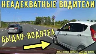Bad drivers and road rage 