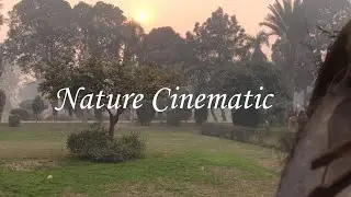 Nature Cinematic Video | Cinematography | Videography