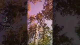 3 июля 2023 г.