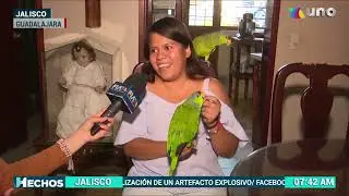 Loro rojiblanco