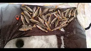 Кина не будет!