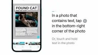 How to use Live Text in a photo on iPhone and iPad | Istore Guru