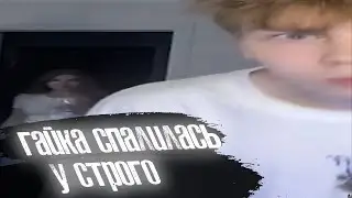 В квартире Strogo засветилась Гаечка 🧡 Тик ток с гаечкой🧡 