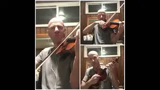 On the Sunny Side of the Street | Jazz Violin