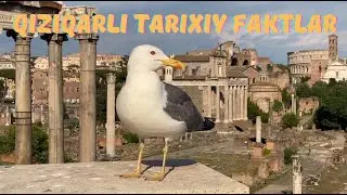 Qiziqarli tarixiy faktlar