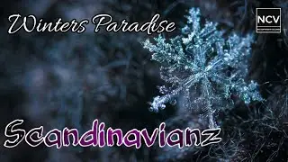 Winters Paradise - Scandinavianz