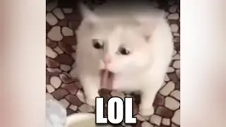 MEMES MUY XD #161