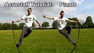 Acrostaff Tutorial: Plants