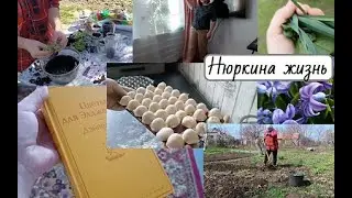 Не удержалась и ответила // Наши будни в станице на Кубани // Нюркина жизнь // Весенний влог